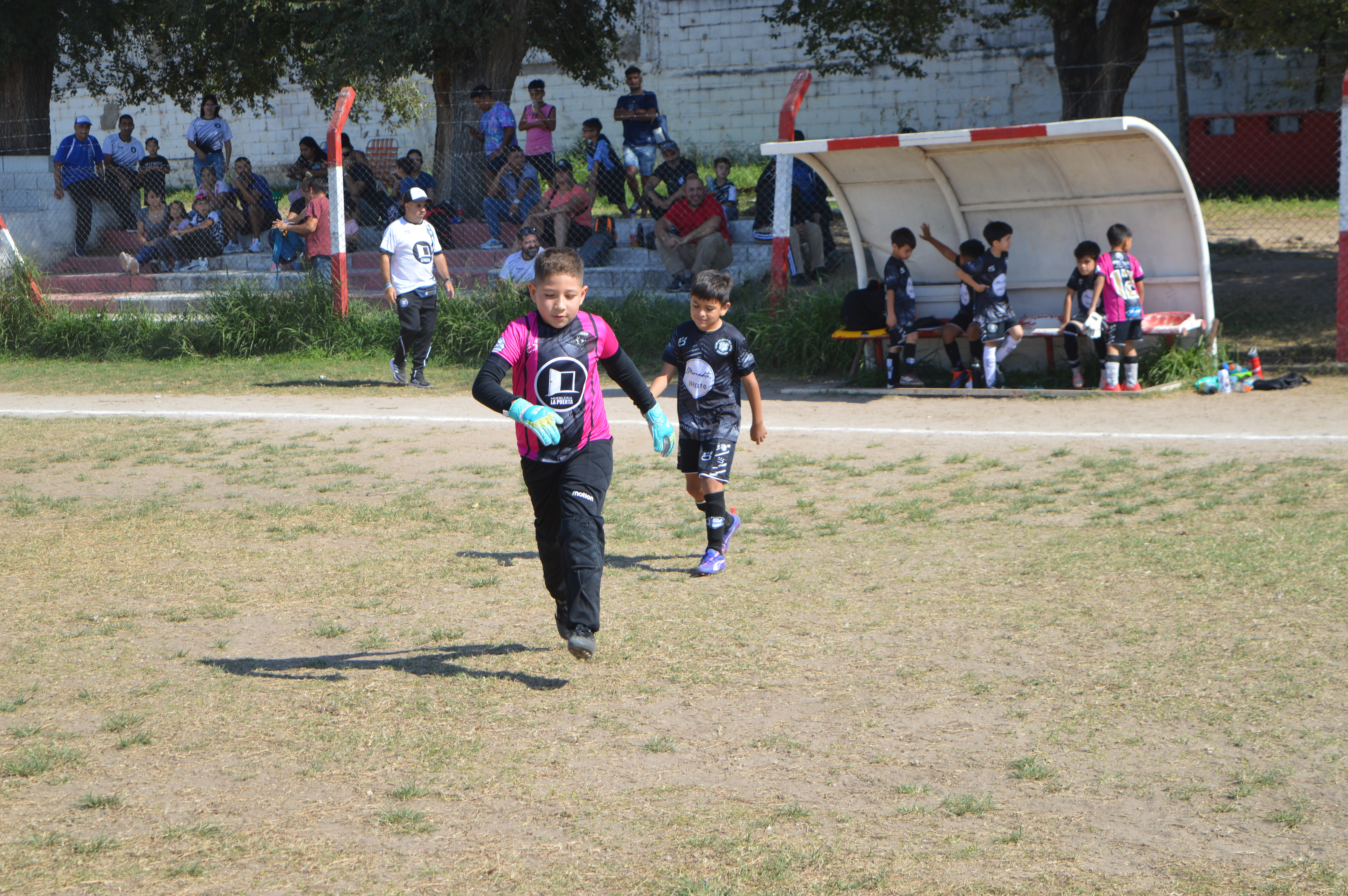 Imagen 1